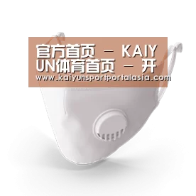 N95 口罩