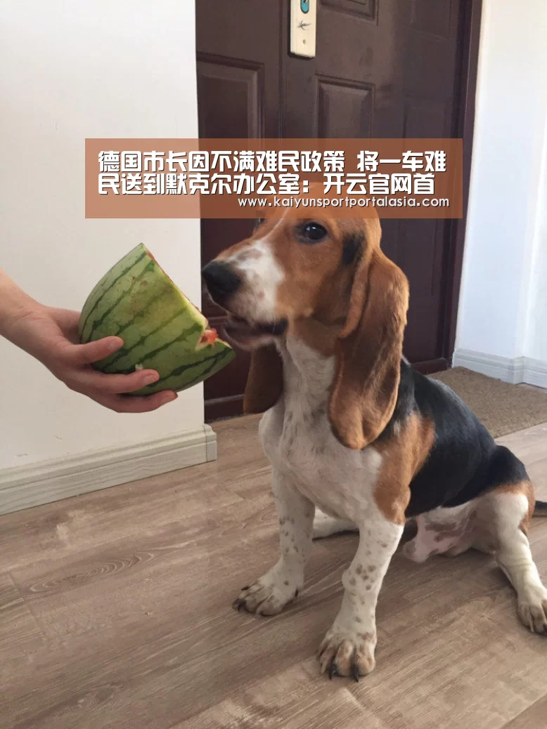德国市长因不满难民政策 将一车难民送到默克尔办公室:开云官网首页(图2) KAIYUN SPORTS