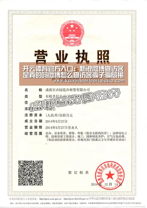 开云体育官方入口