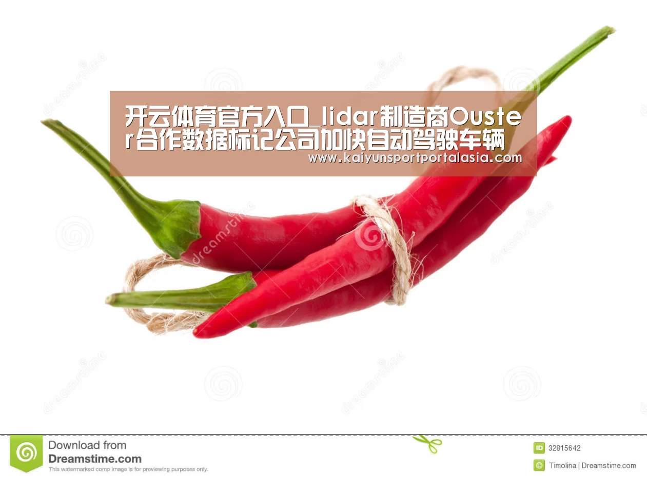 开云体育官方入口_lidar制造商Ouster合作数据标记公司加快自动驾驶车辆部署(图2) KAIYUN SPORTS