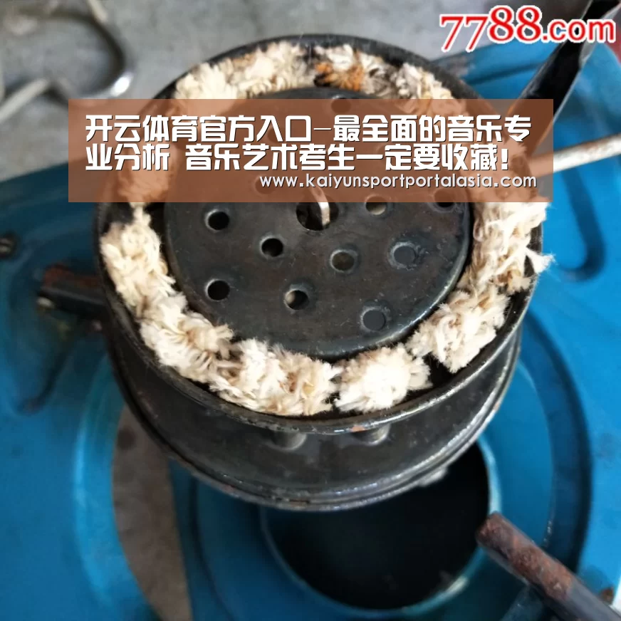 开云体育官方入口-最全面的音乐专业分析 音乐艺术考生一定要收藏!(图3) 开云体育官方入口