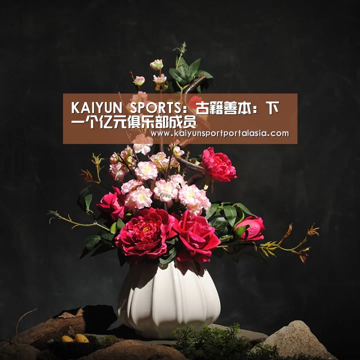 KAIYUN SPORTS