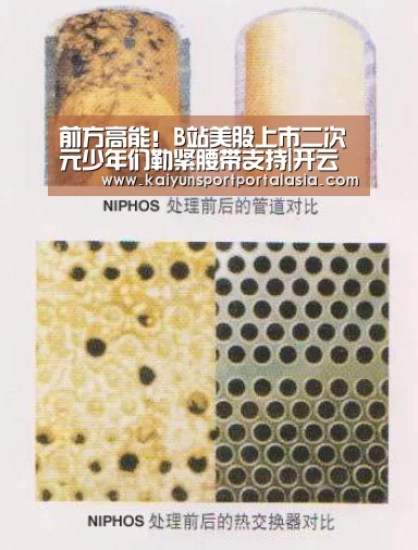 前方高能!B站美股上市二次元少年们勒紧腰带支持|开云体育官方入口(图2) KAIYUN SPORTS